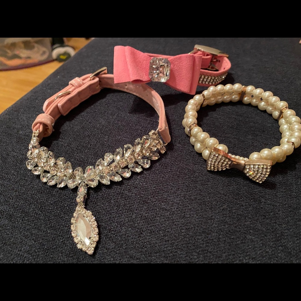 Dog collar.